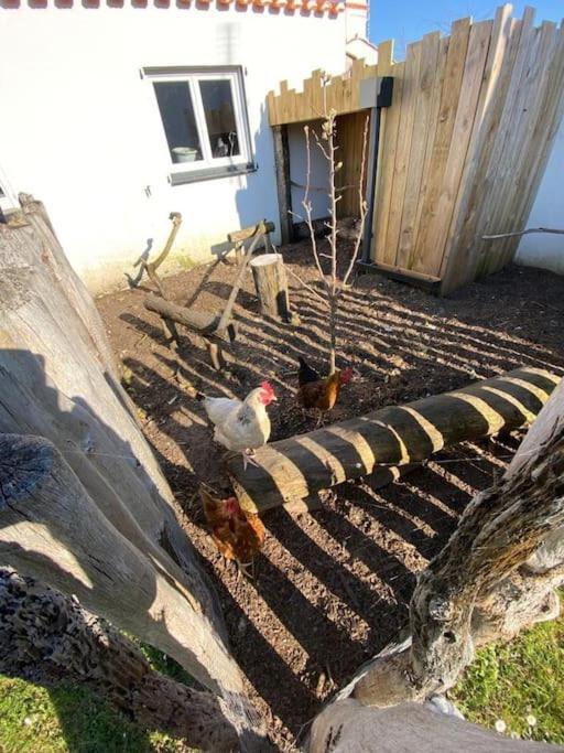 Villa Avec Jacuzzi Proche De La Mer Et Du Centre Barbâtre Exterior foto